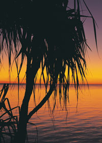 Enquiries or Bookings for Daly River Barra Resort on Woolianna Road Northern Territory