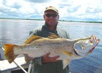 Plenty of Barramundi at Daly River on Woolianna Road