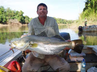 Catch Barramundi on a Barramundi Fishing Charter on the Daly River, Woolianna Rd